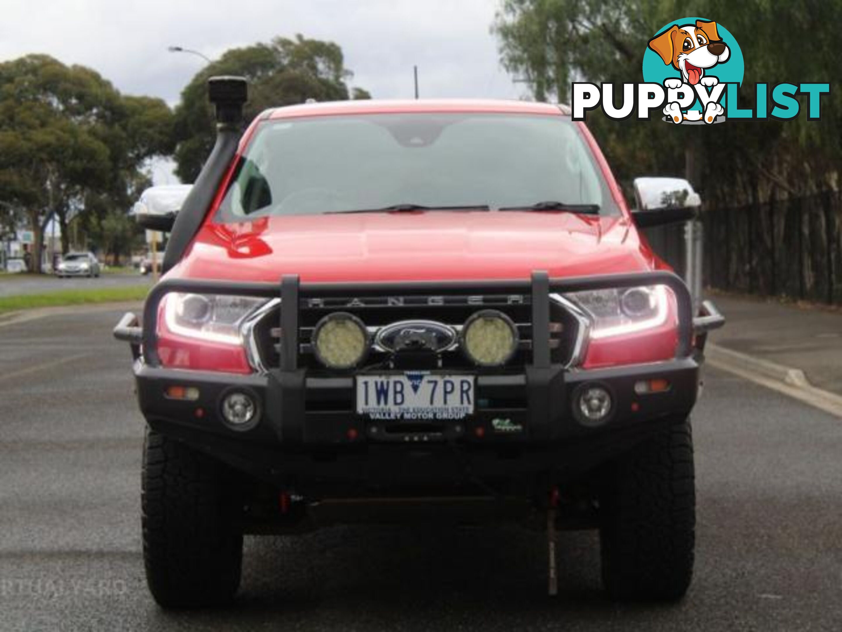 2019 FORD RANGER XLT 3.2 (4X4) PX MKIII MY19  OTHER