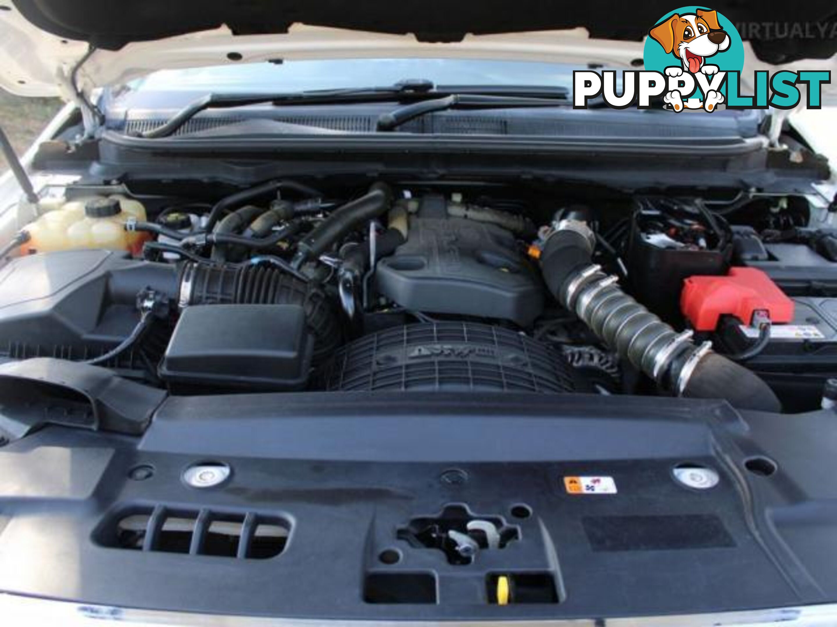 2020 FORD RANGER XLT 2.0 (4X4) PX MKIII MY20.25  OTHER