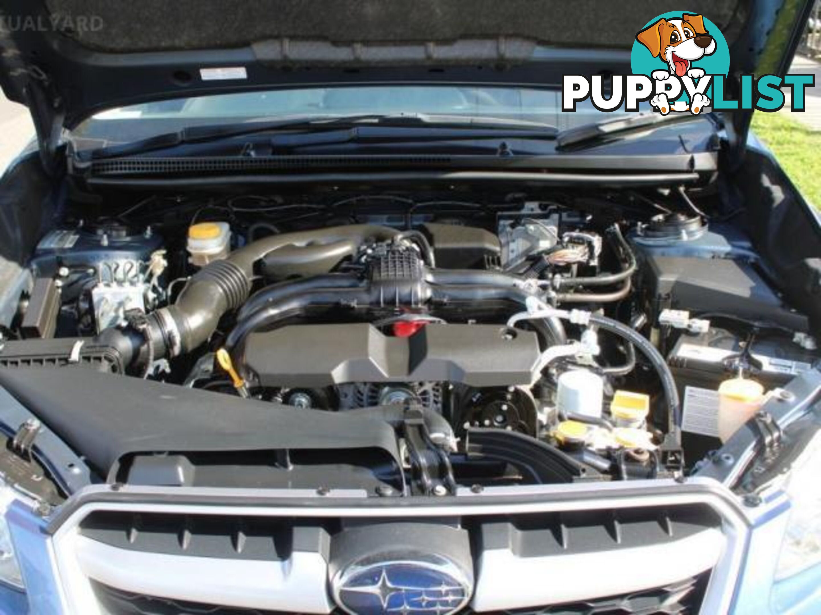 2015 SUBARU IMPREZA 2.0I (AWD) MY15  HATCH