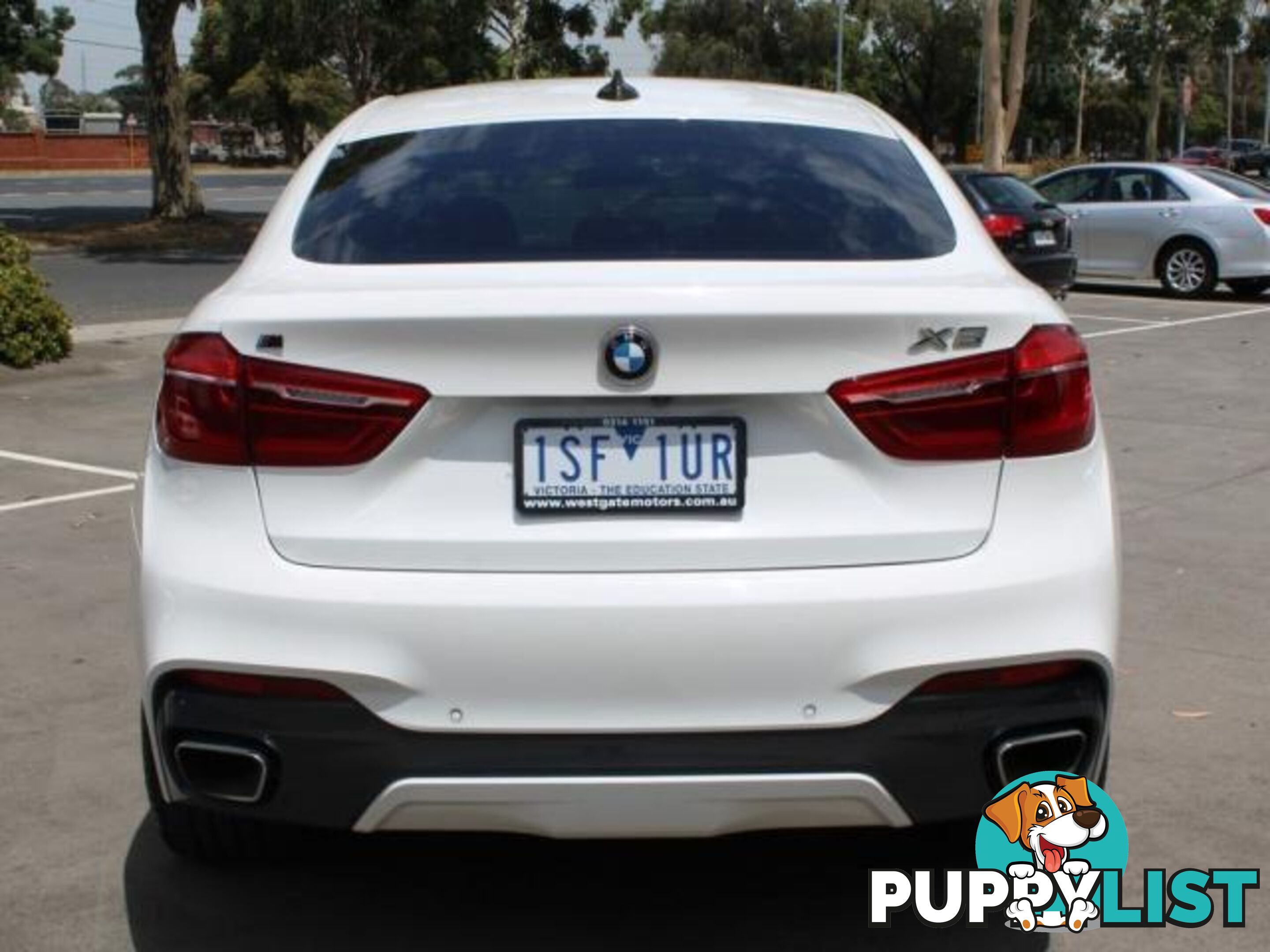 2016 BMW X6 XDRIVE30D F16  COUPE