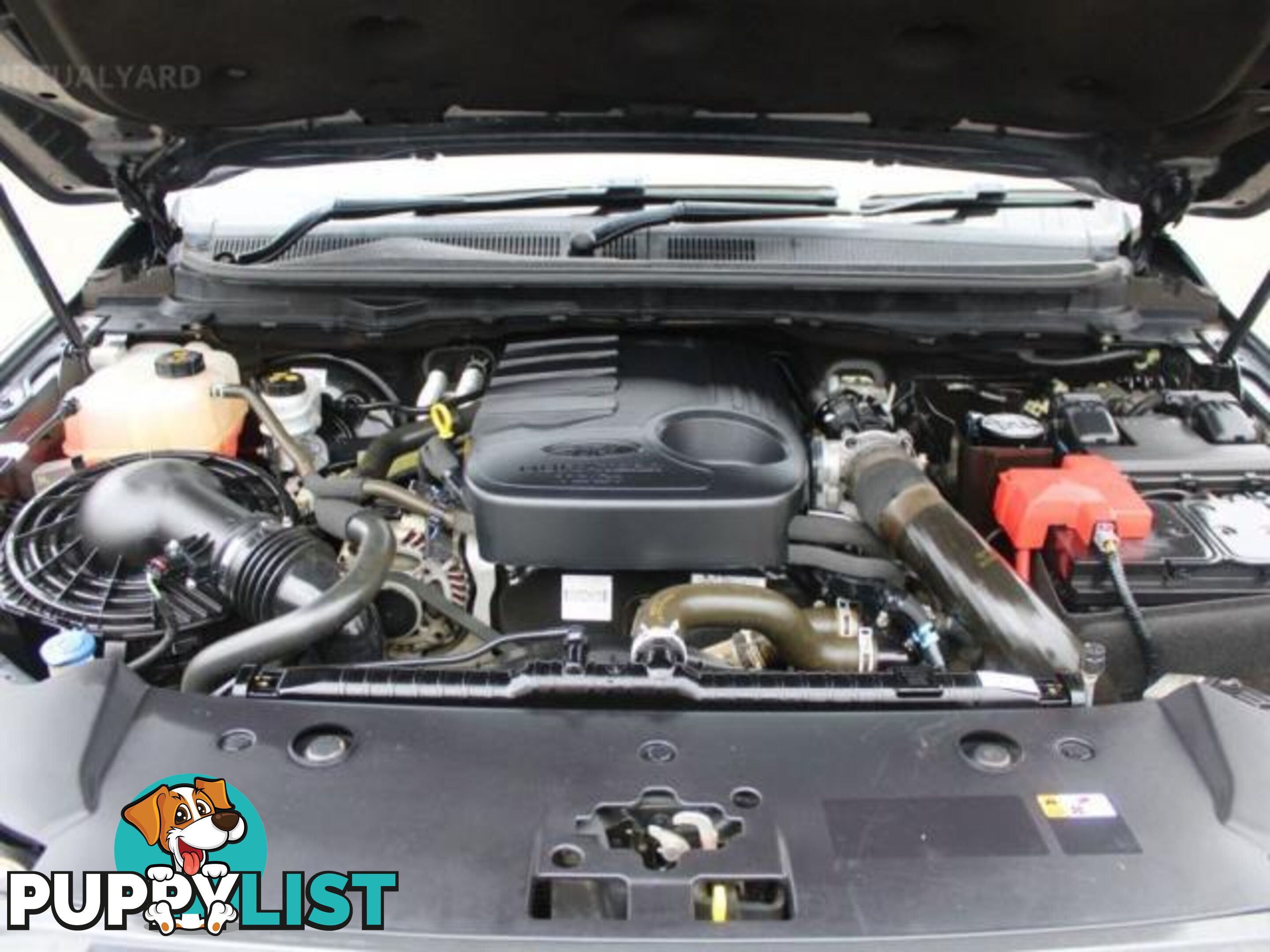 2019 FORD RANGER WILDTRAK 3.2 (4X4) PX MKIII MY19  OTHER
