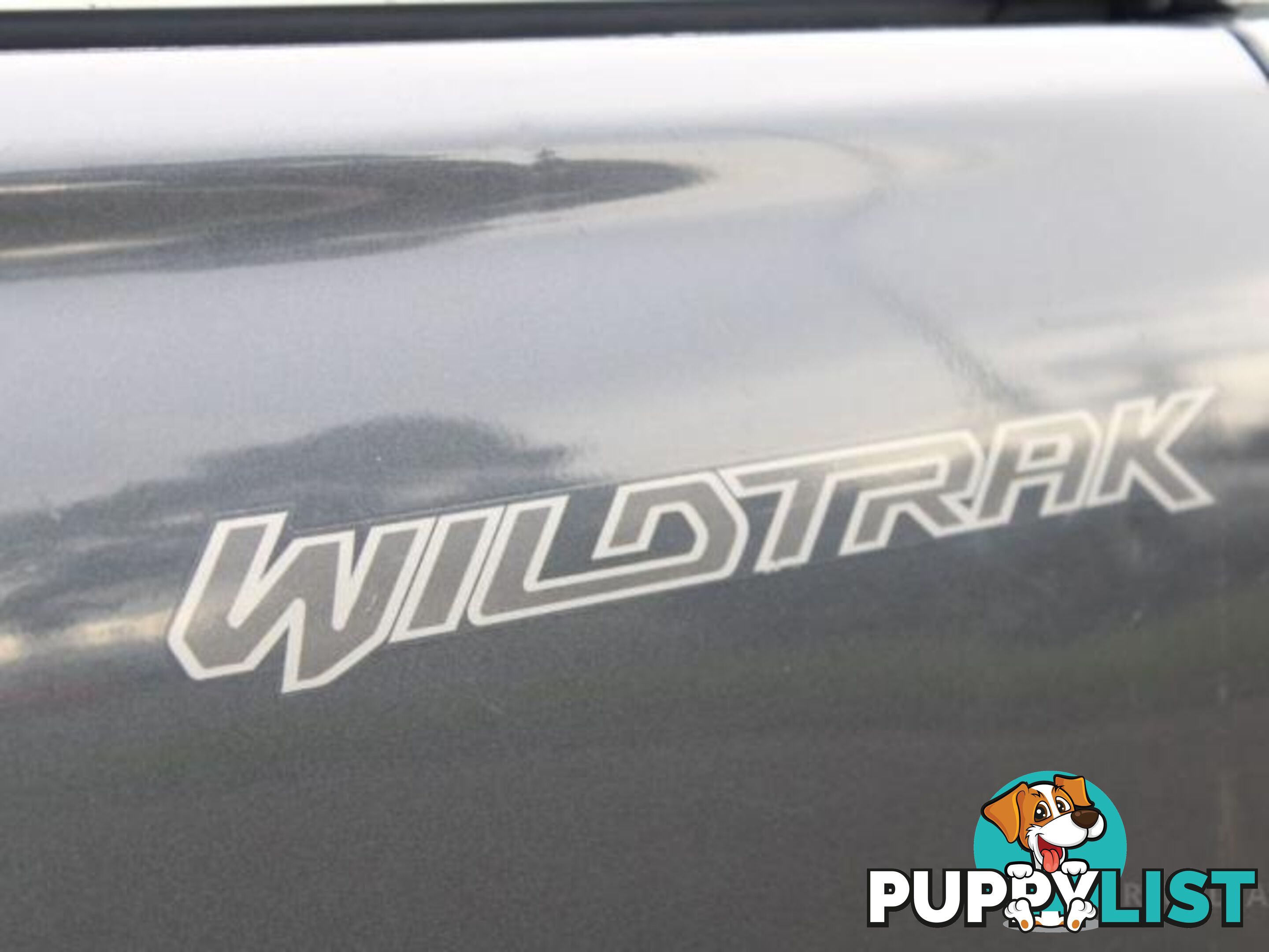 2019 FORD RANGER WILDTRAK 3.2 (4X4) PX MKIII MY19  OTHER