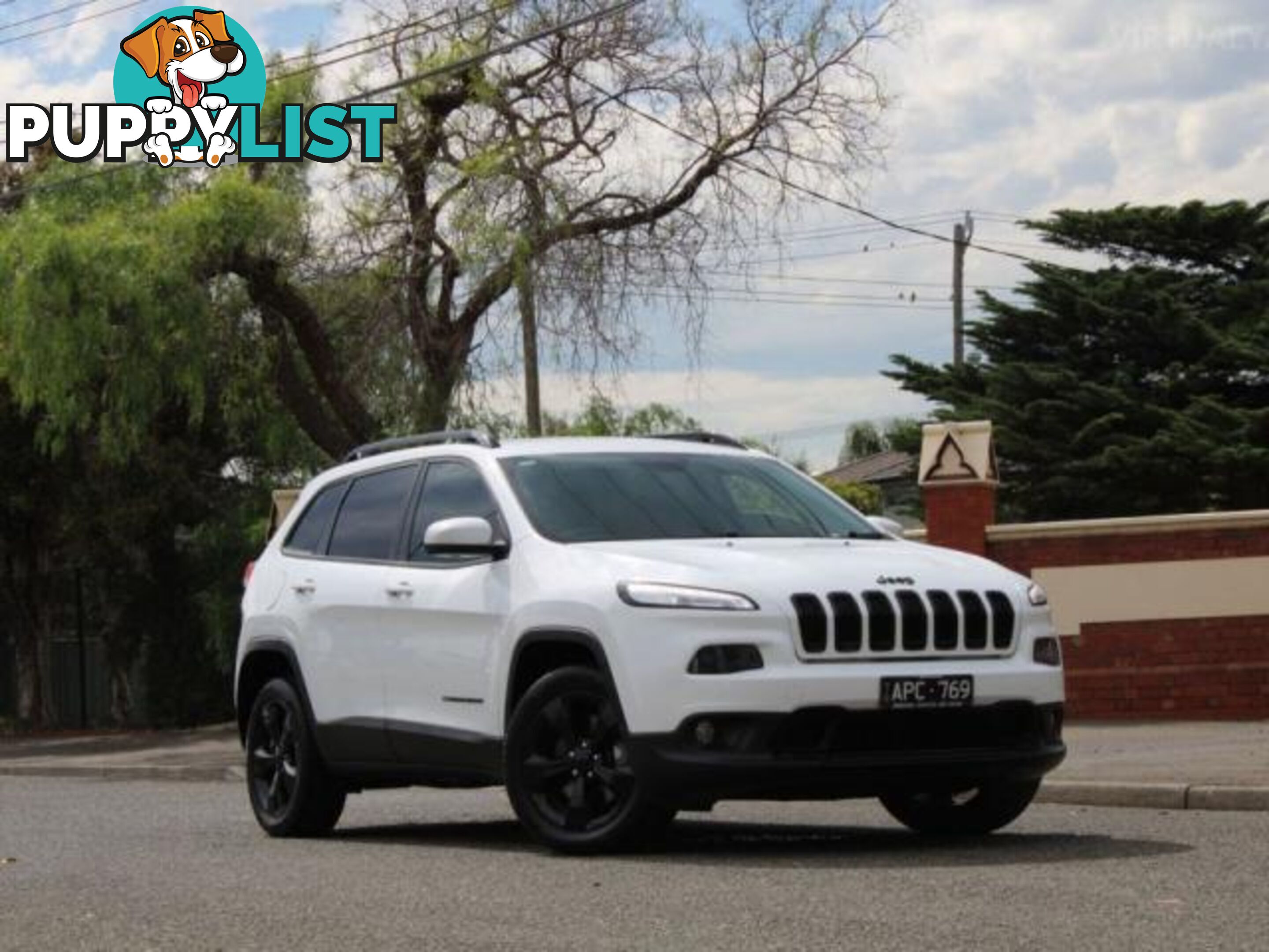 2015 JEEP CHEROKEE BLACKHAWK (4X4) KL MY15  WAGON