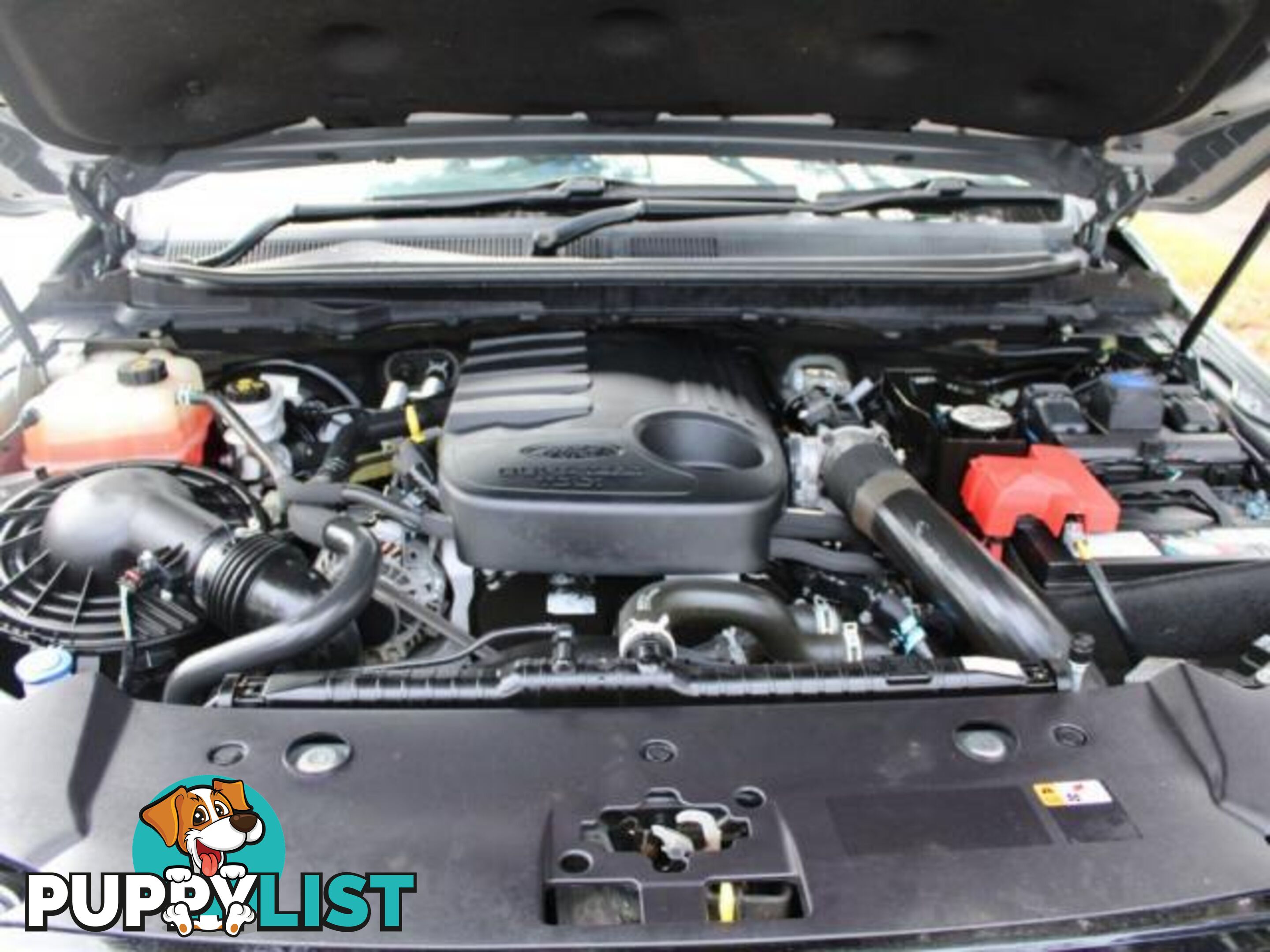 2020 FORD RANGER FX4 MAX PX MKIII AUTO 4X4 MY21.25  OTHER