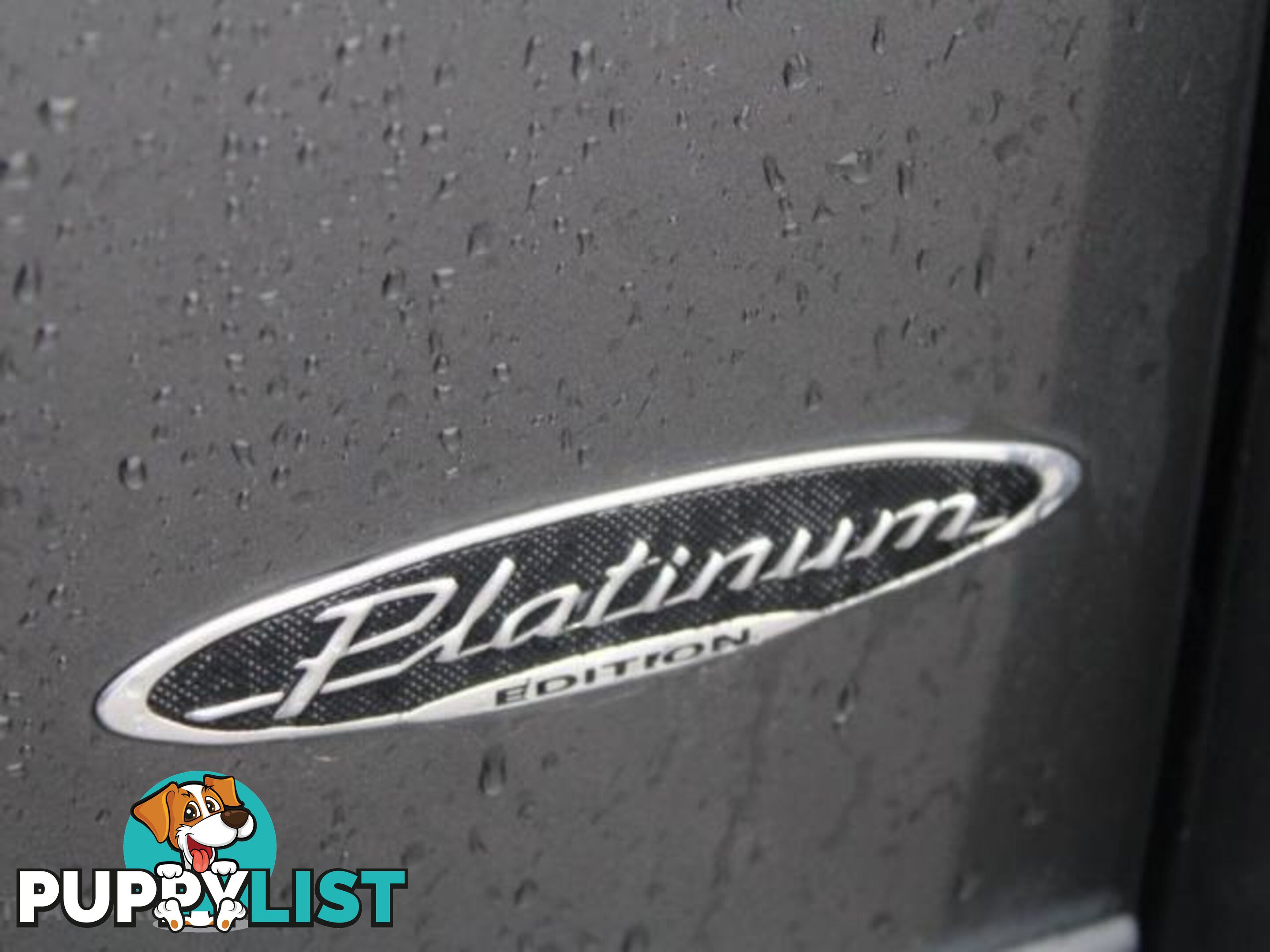 2011 MITSUBISHI PAJERO GLX   PLATINUM  (4X4) NT MY11  WAGON