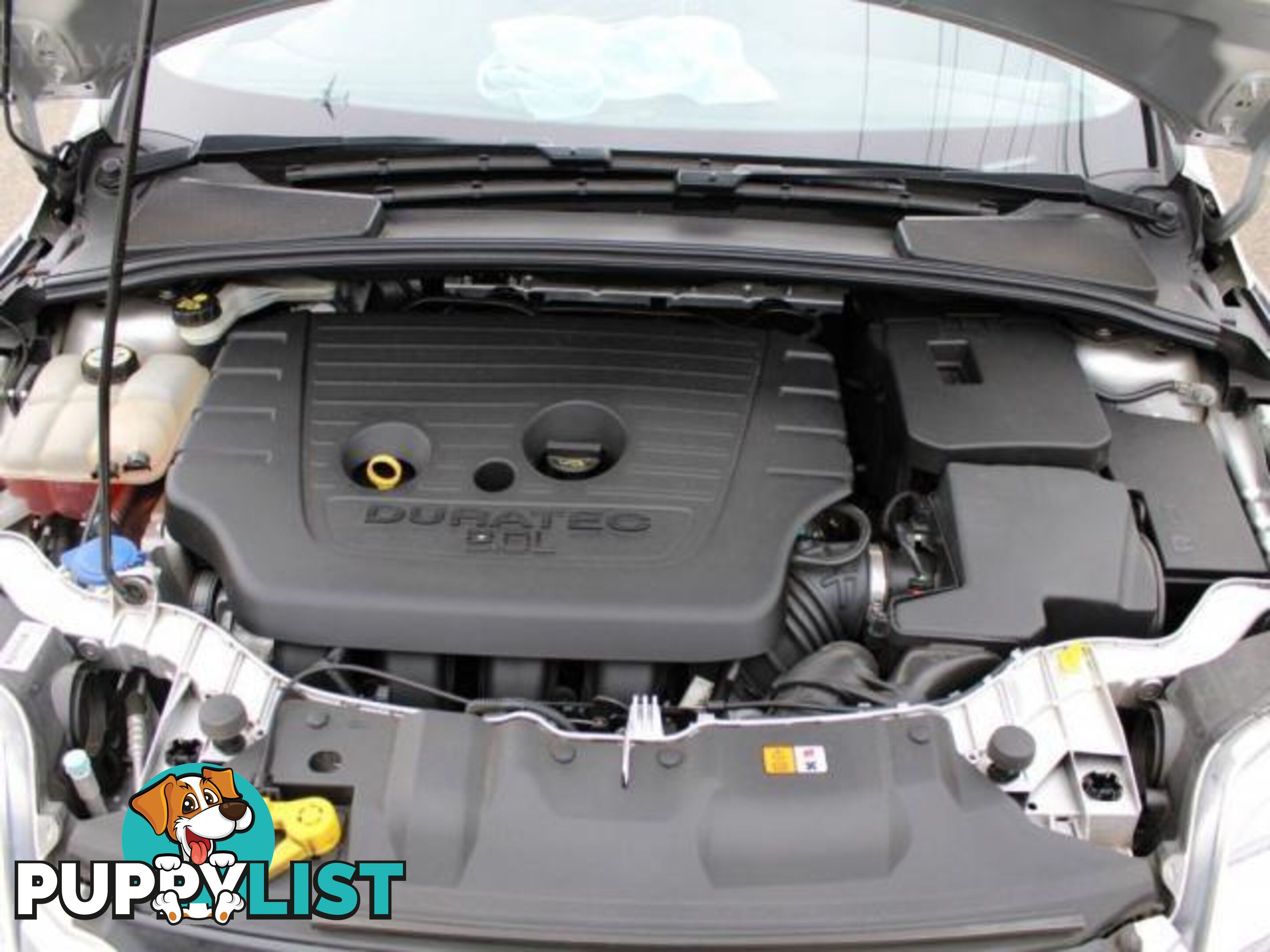 2014 FORD FOCUS TREND LW MK2 MY14  HATCH
