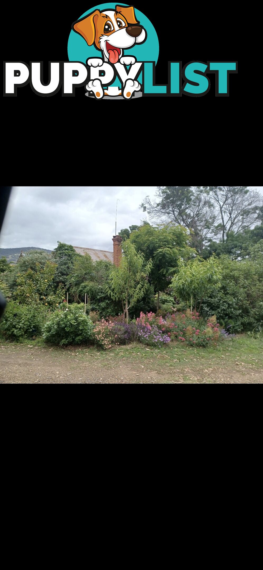 House and Land for Sale