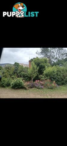 House and Land for Sale