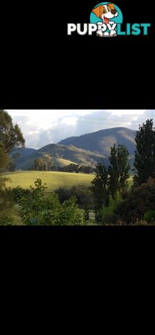 House and Land for Sale