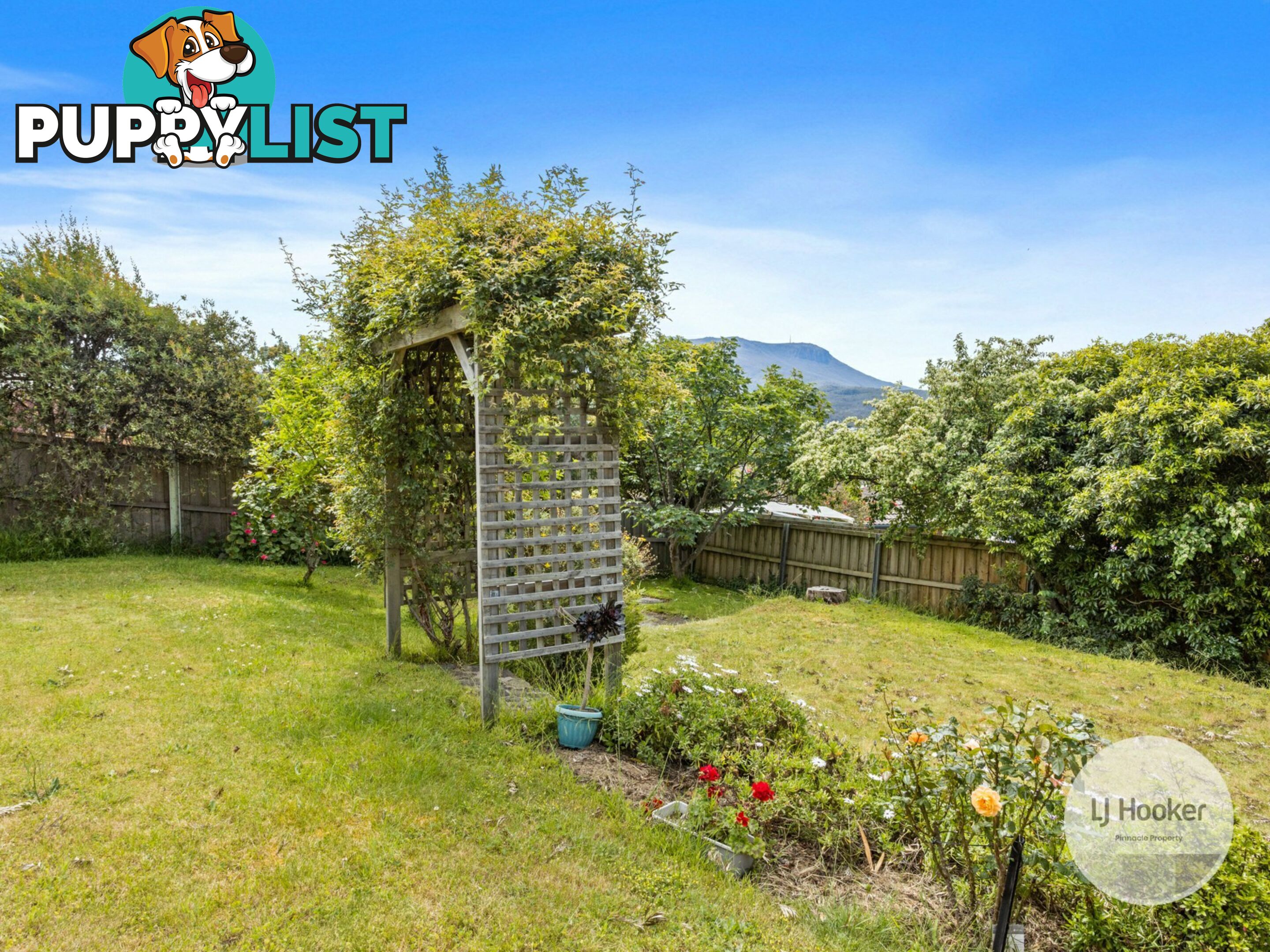 36 Baynton Street KINGSTON TAS 7050