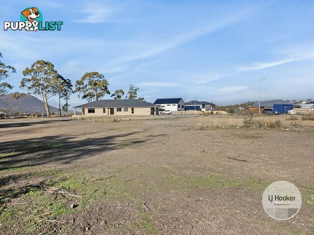 84 Stony Point Drive AUSTINS FERRY TAS 7011