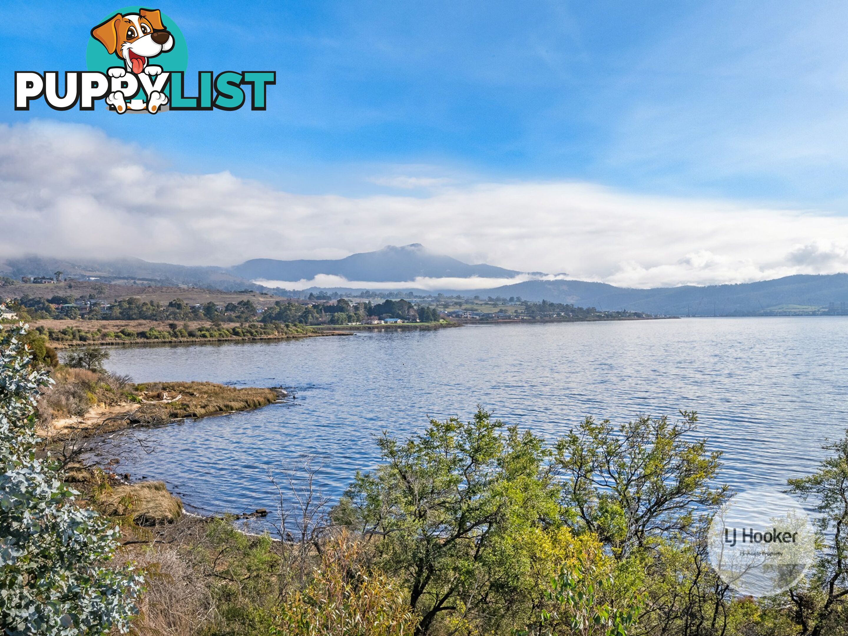 84 Stony Point Drive AUSTINS FERRY TAS 7011