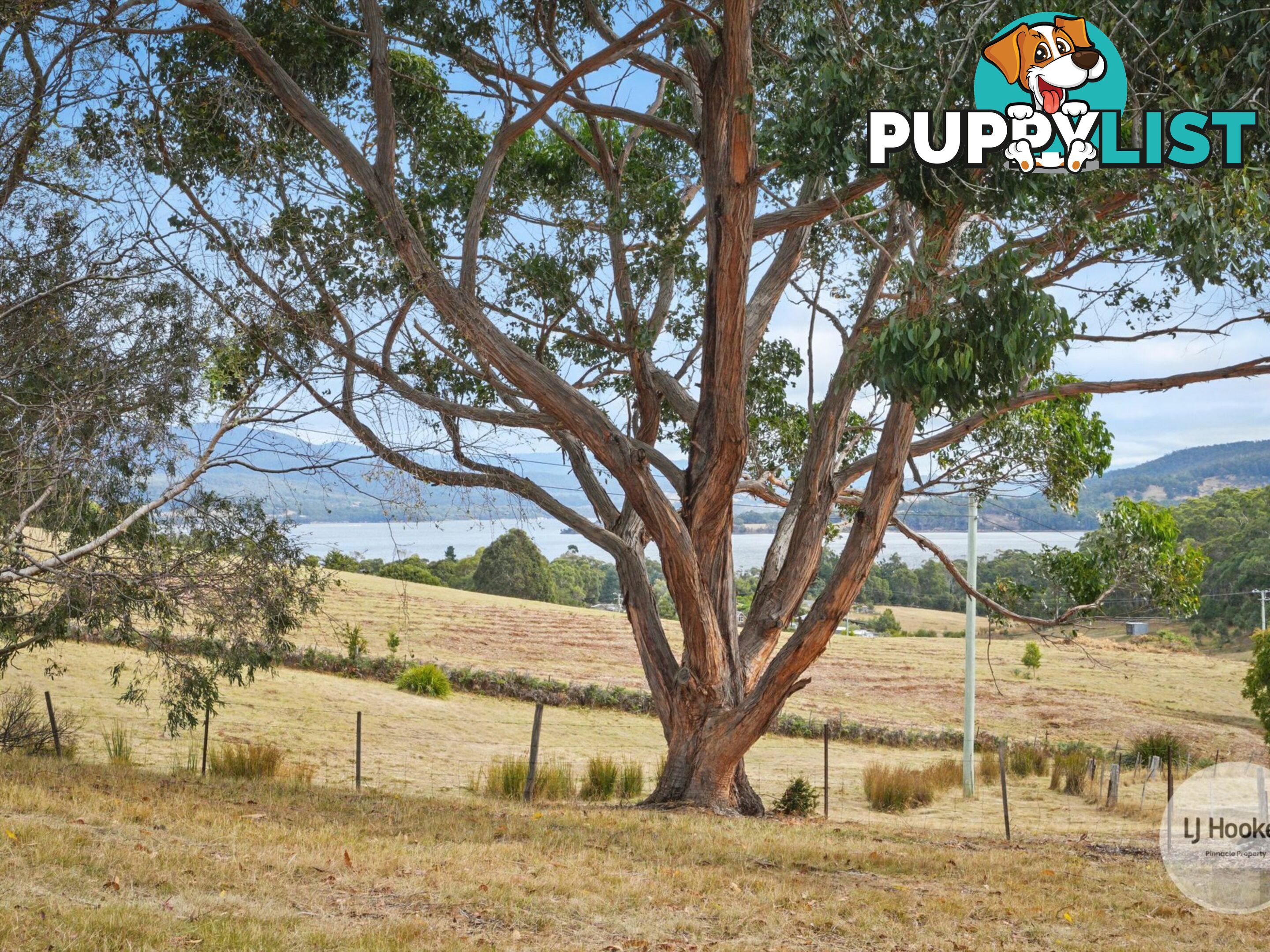60 Jennings Road ABELS BAY TAS 7112