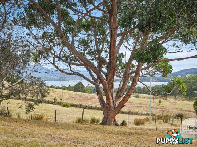 60 Jennings Road ABELS BAY TAS 7112