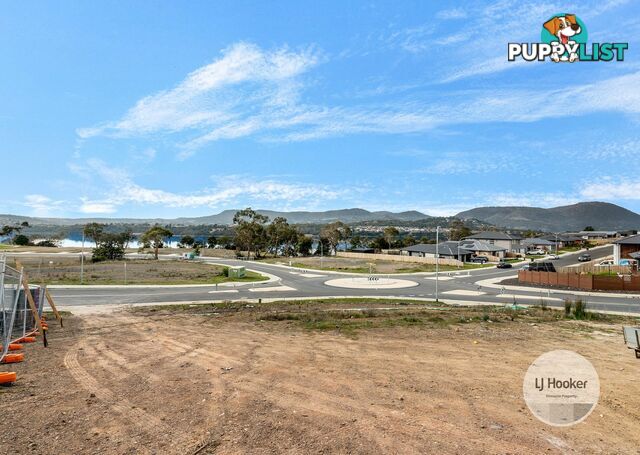 42 Whitestone Drive AUSTINS FERRY TAS 7011