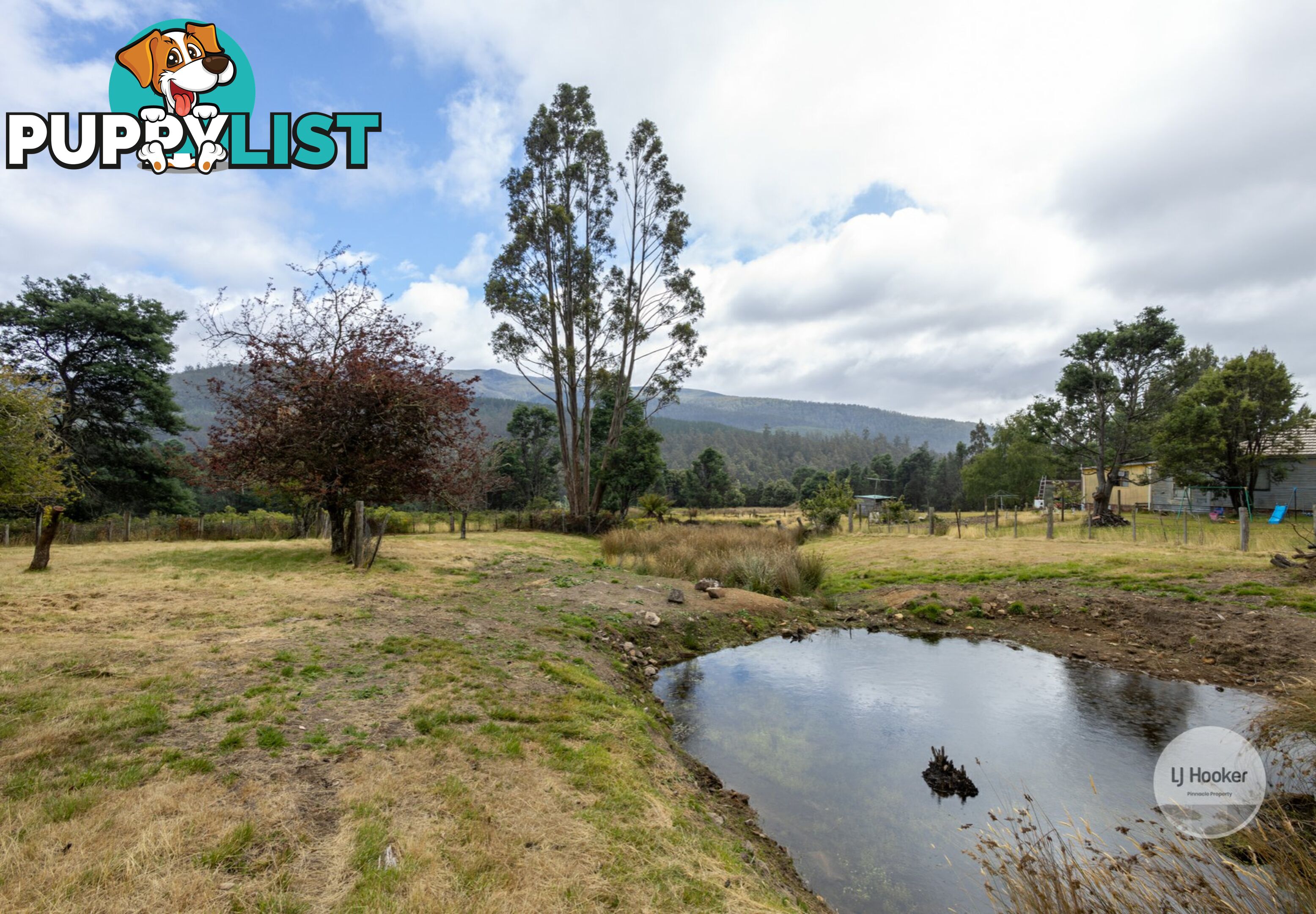 3326 Gordon River Road FITZGERALD TAS 7140