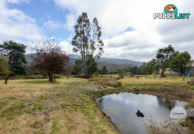 3326 Gordon River Road FITZGERALD TAS 7140