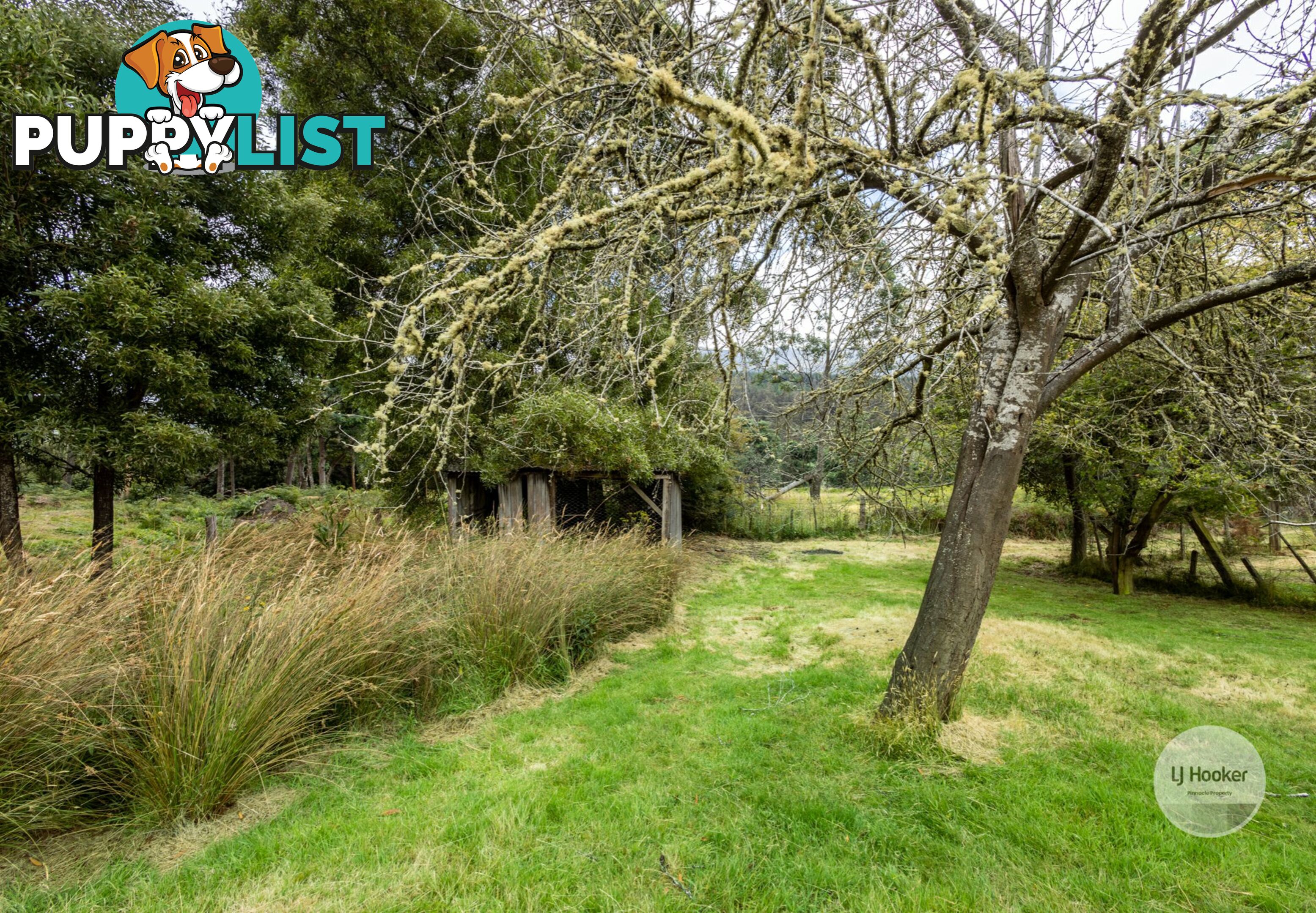 3326 Gordon River Road FITZGERALD TAS 7140