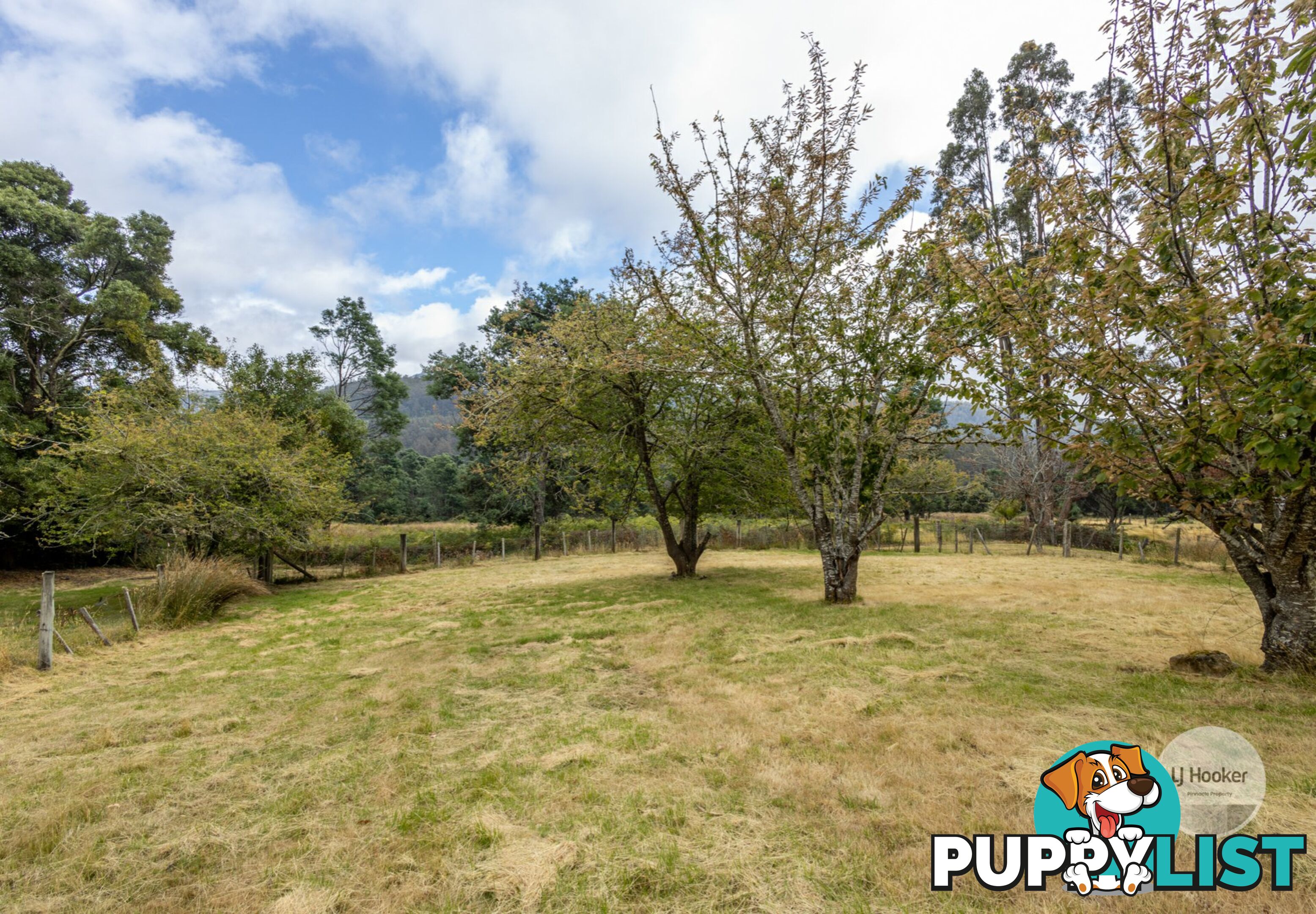 3326 Gordon River Road FITZGERALD TAS 7140