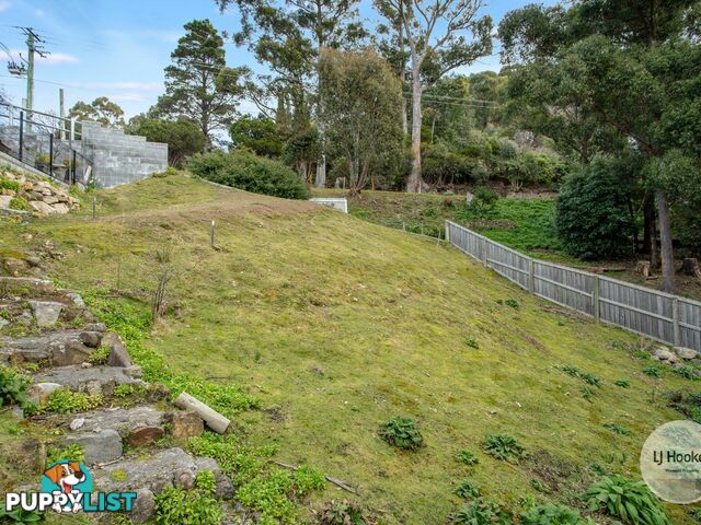 438 Strickland Avenue SOUTH HOBART TAS 7004