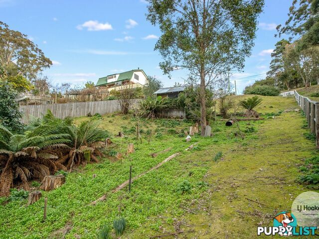 438 Strickland Avenue SOUTH HOBART TAS 7004