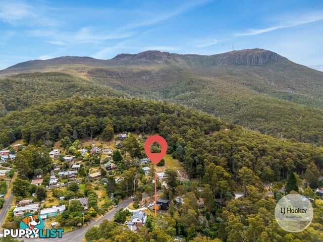 438 Strickland Avenue SOUTH HOBART TAS 7004