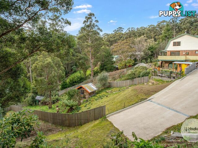 438 Strickland Avenue SOUTH HOBART TAS 7004