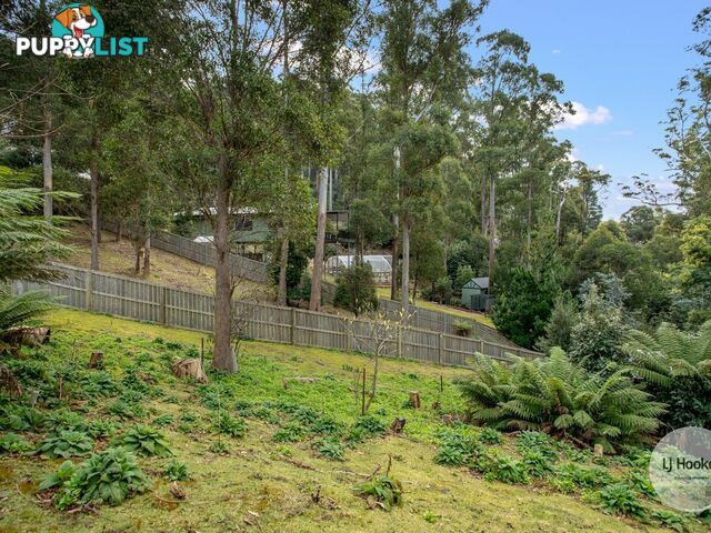 438 Strickland Avenue SOUTH HOBART TAS 7004