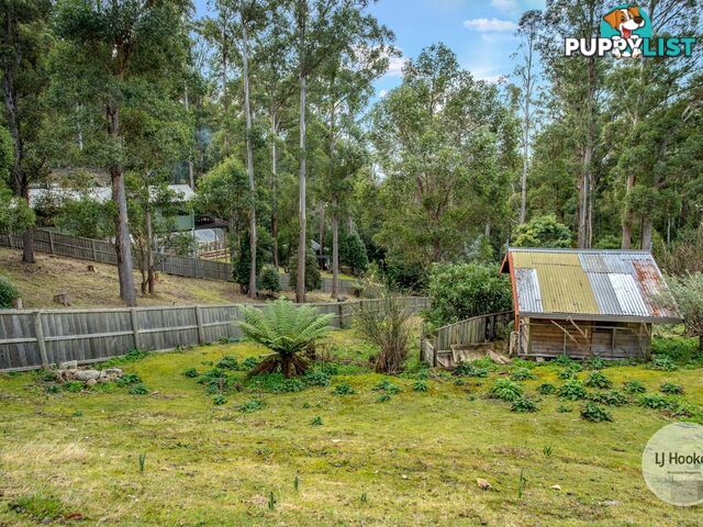 438 Strickland Avenue SOUTH HOBART TAS 7004