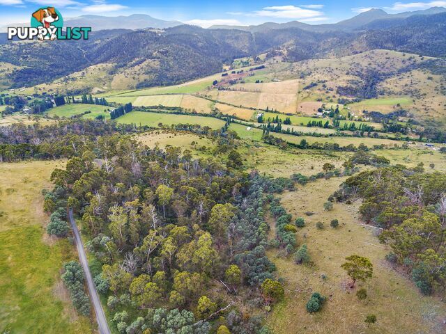 7 Moores Road LACHLAN TAS 7140