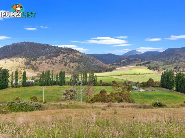 7 Moores Road LACHLAN TAS 7140