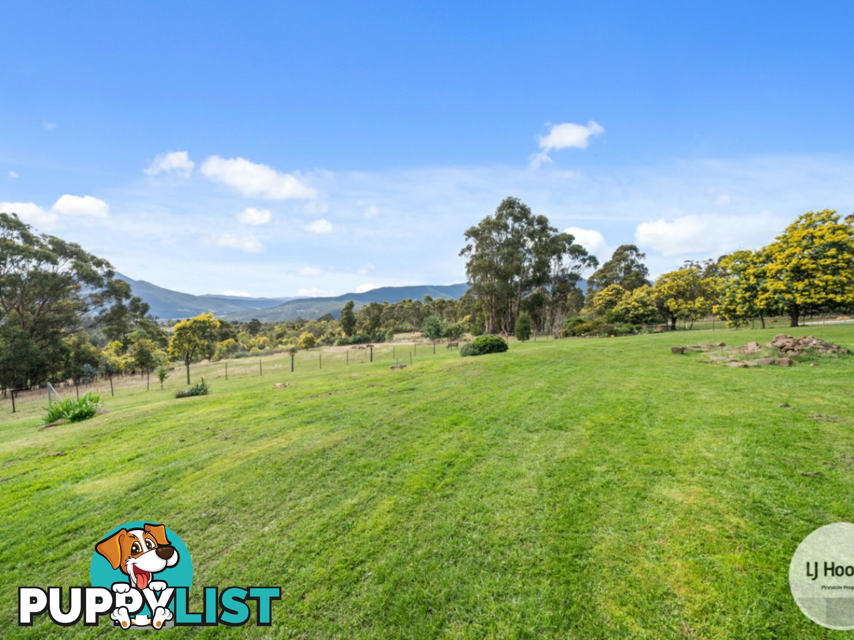 30 Mountain Place MOLESWORTH TAS 7140