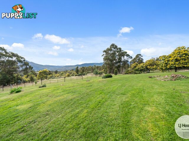 30 Mountain Place MOLESWORTH TAS 7140