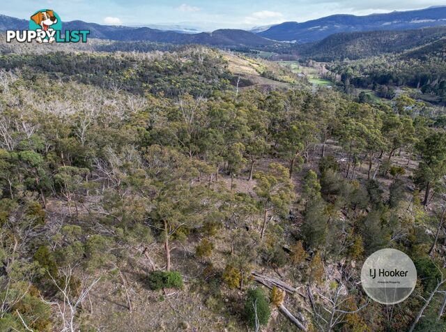 Lot 1/484 Molesworth Road MOLESWORTH TAS 7140