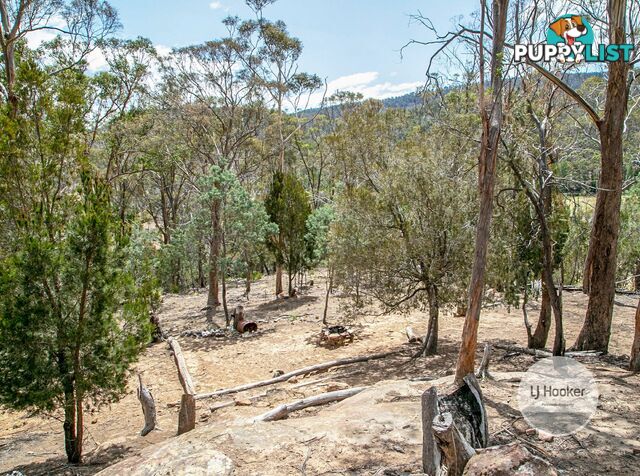 Lot 1/484 Molesworth Road MOLESWORTH TAS 7140