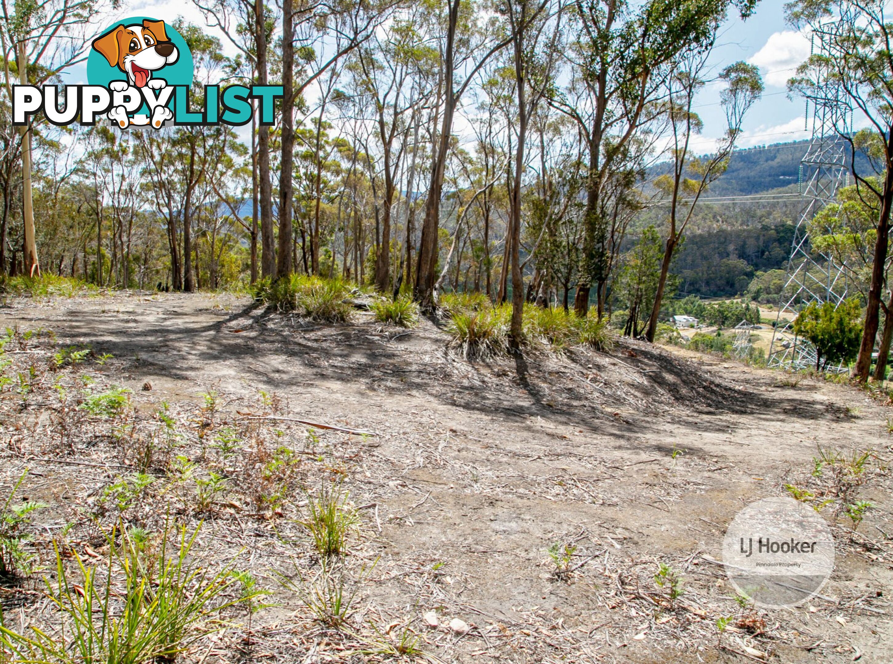 Lot 1/484 Molesworth Road MOLESWORTH TAS 7140