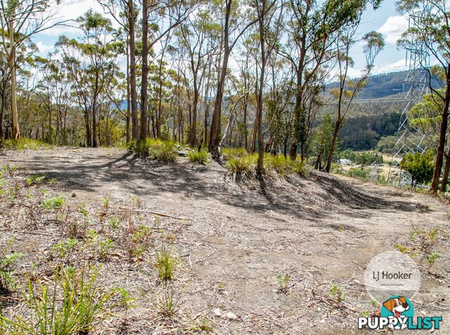 Lot 1/484 Molesworth Road MOLESWORTH TAS 7140