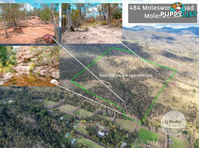 Lot 1/484 Molesworth Road MOLESWORTH TAS 7140