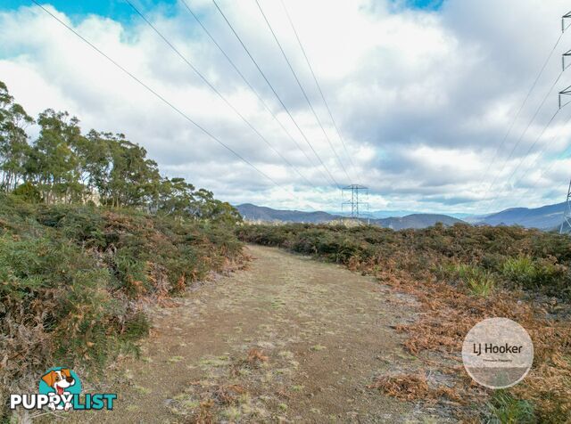 Lot 1/484 Molesworth Road MOLESWORTH TAS 7140