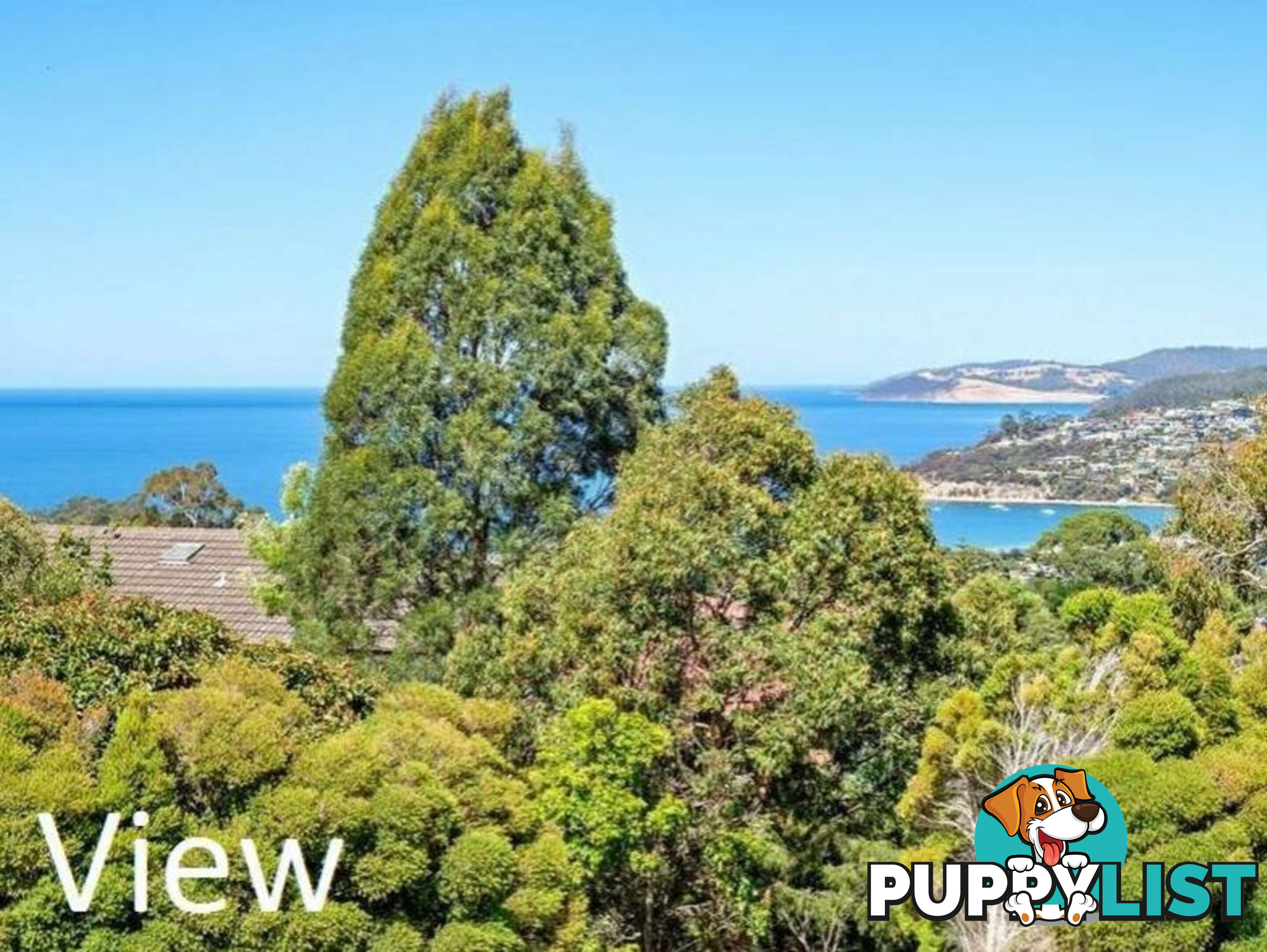 45 Tingira Road BLACKMANS BAY TAS 7052