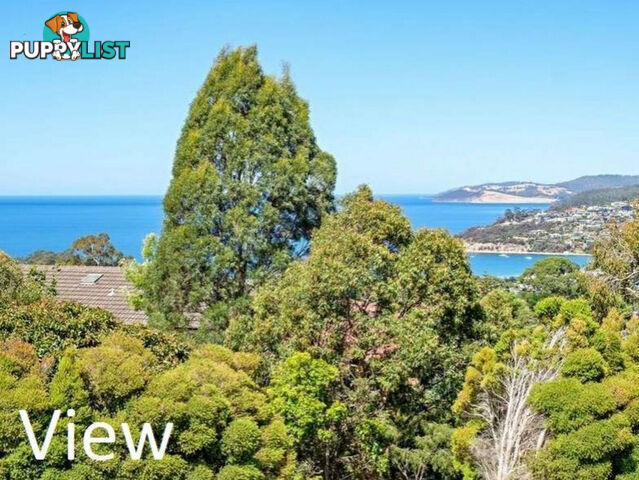 45 Tingira Road BLACKMANS BAY TAS 7052