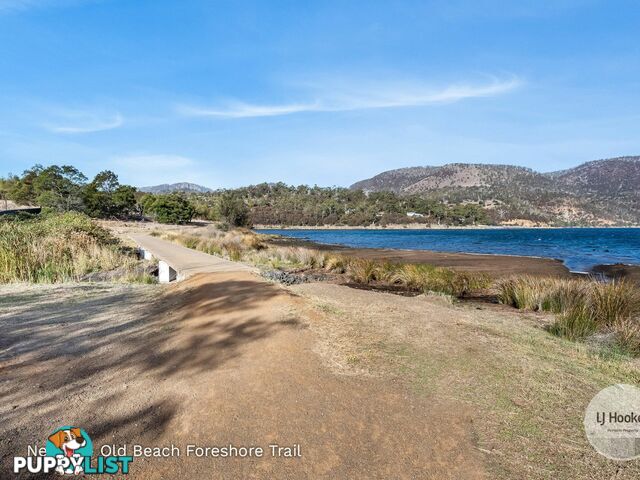 12 Coghlan Court OLD BEACH TAS 7017