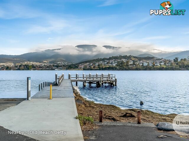 12 Coghlan Court OLD BEACH TAS 7017