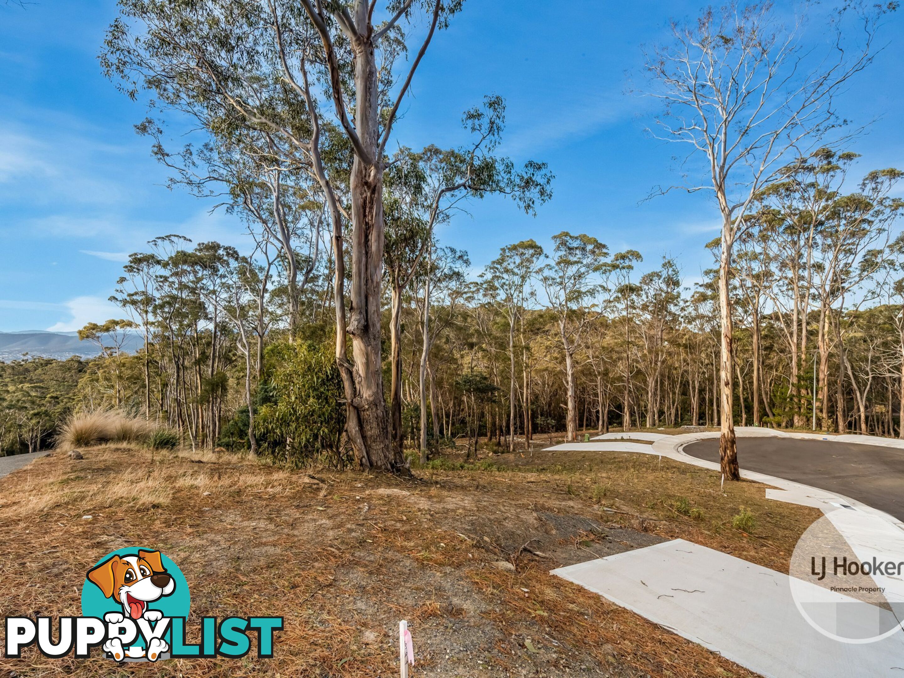 Lot 9/607 - 627 Nelson Road MOUNT NELSON TAS 7007