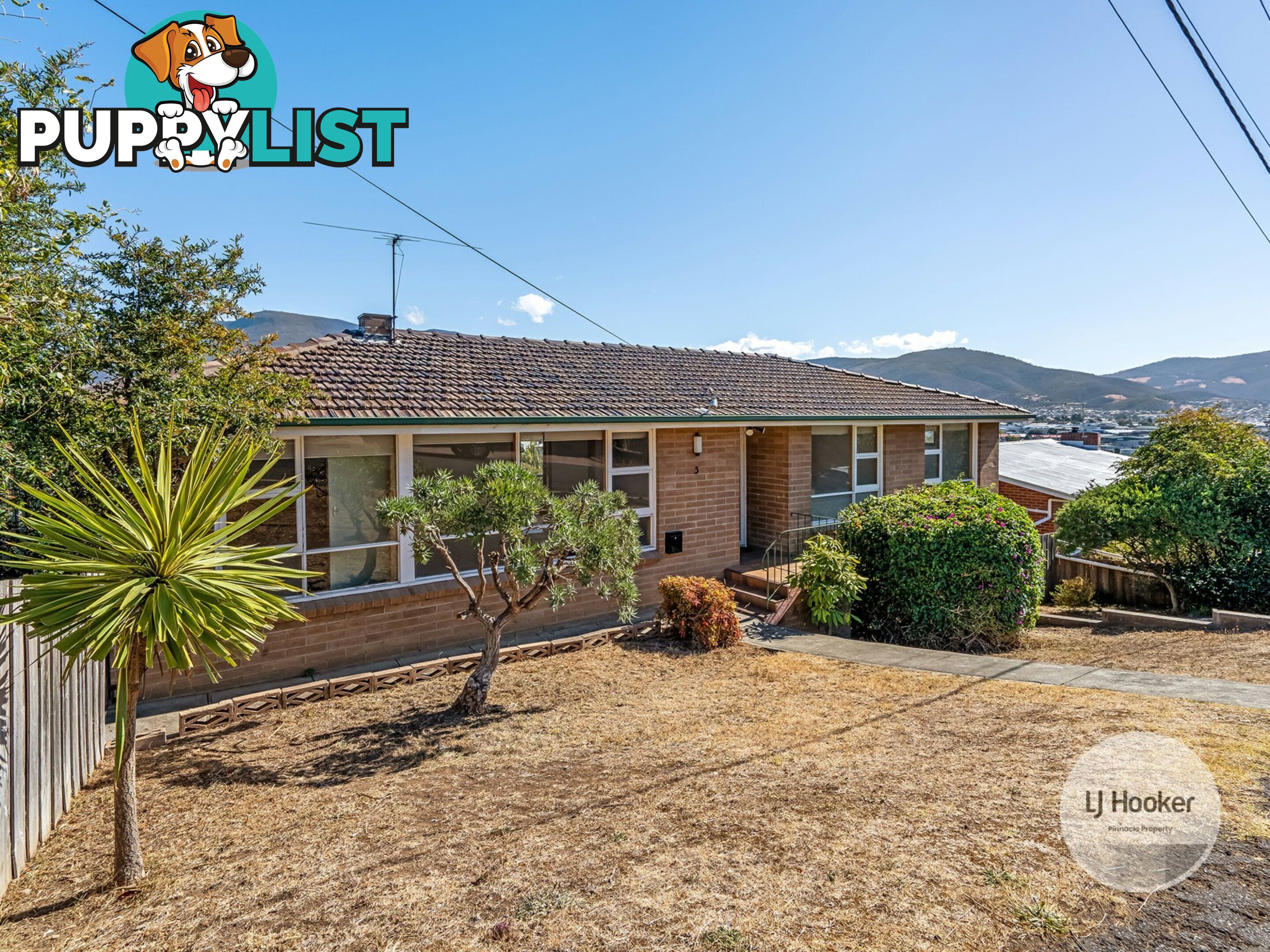 3 Michael Street LUTANA TAS 7009