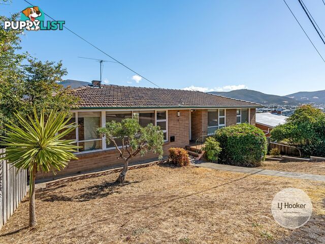 3 Michael Street LUTANA TAS 7009