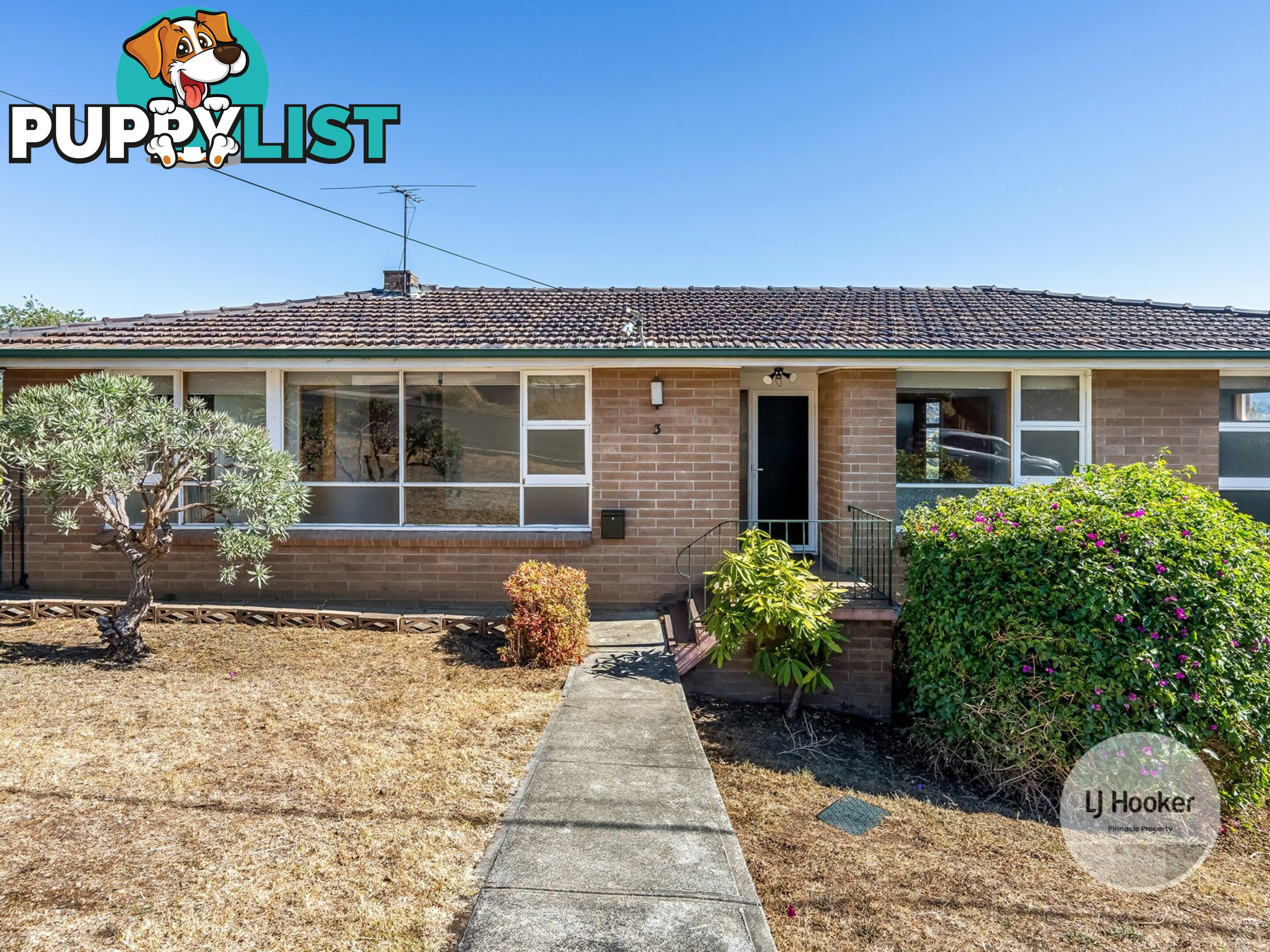 3 Michael Street LUTANA TAS 7009