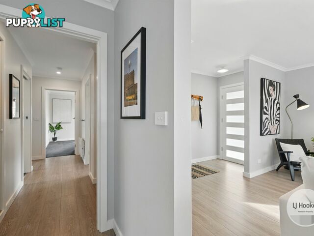 19 Taree Street CHIGWELL TAS 7011
