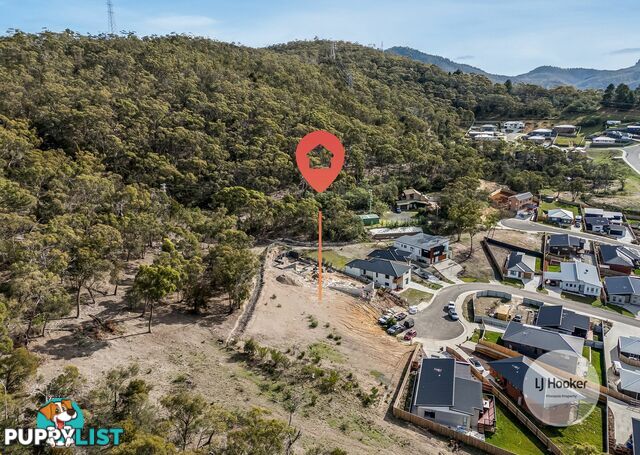 20 Lowlynn Court GEILSTON BAY TAS 7015