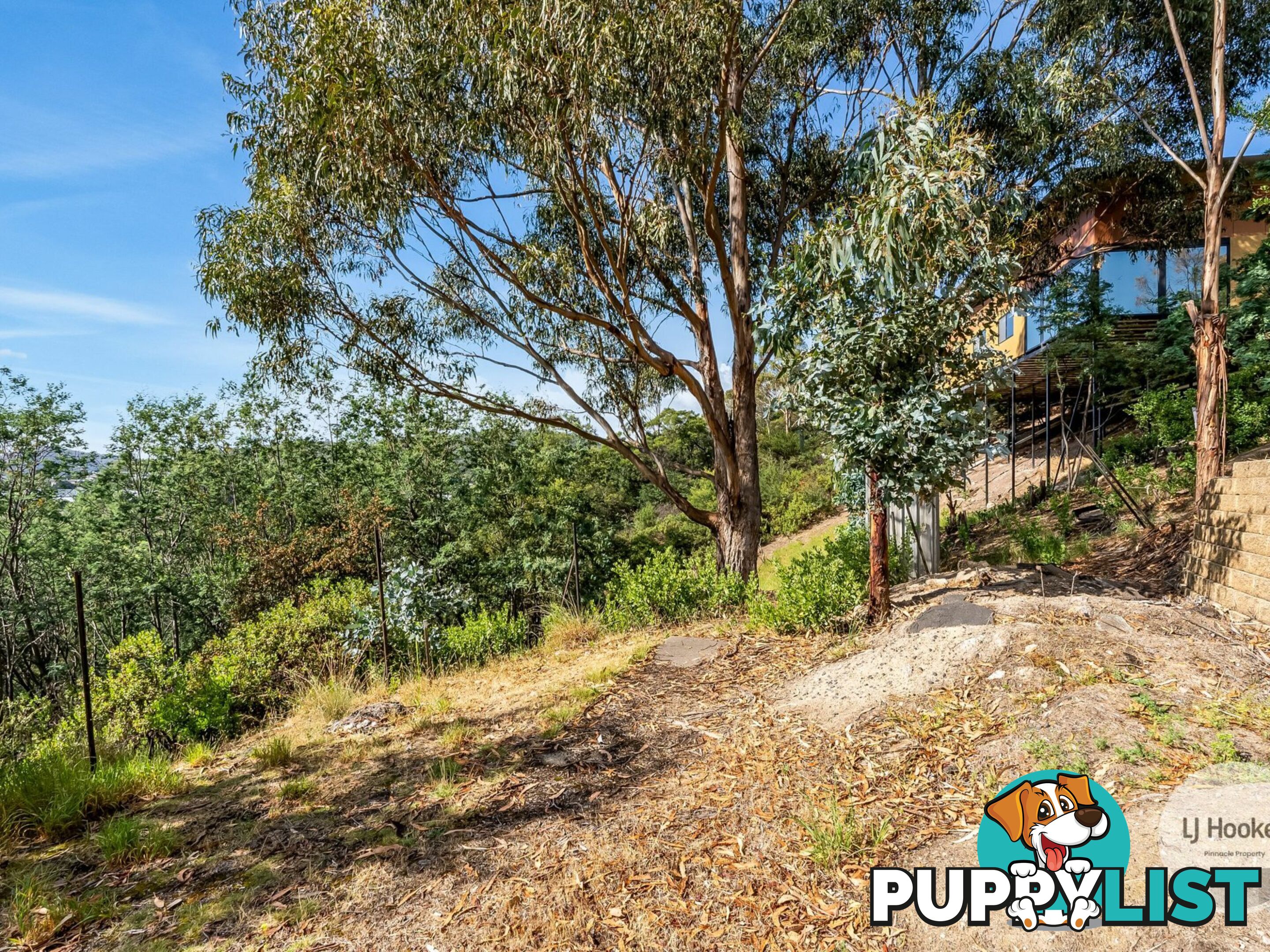 19 Andreas Place GEILSTON BAY TAS 7015